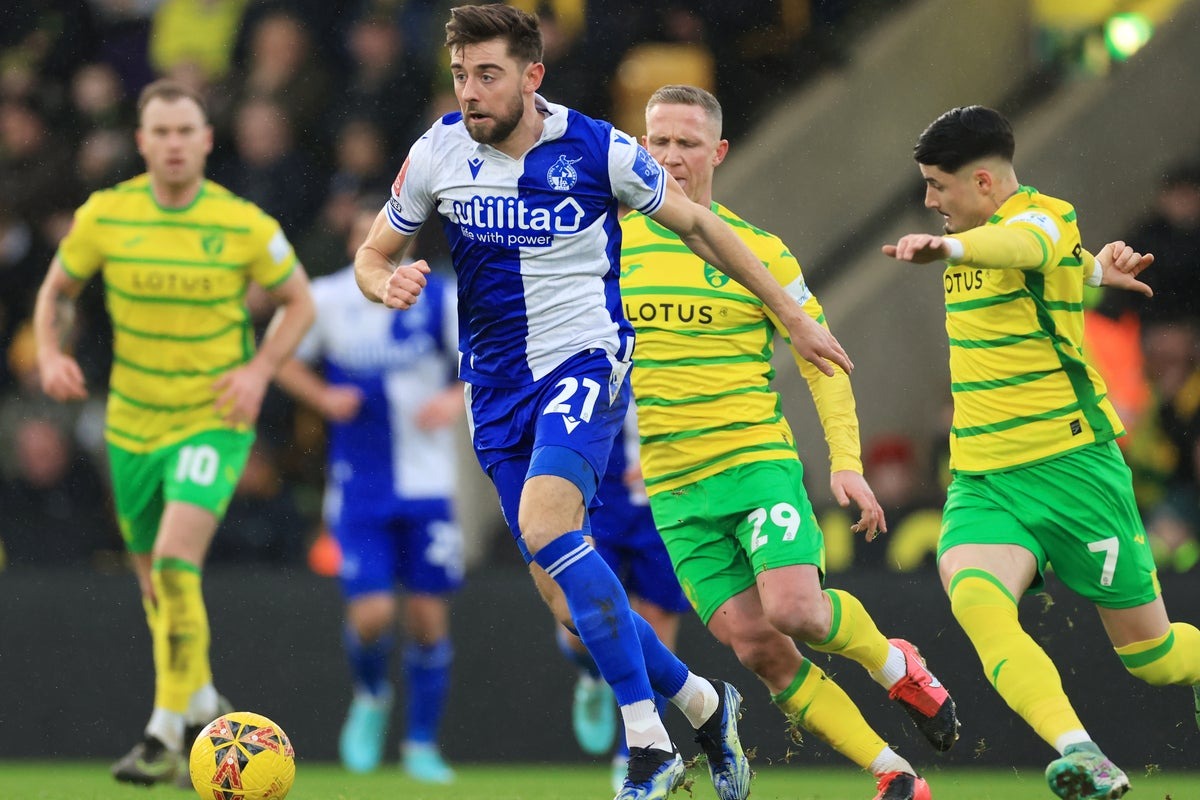 Nhận định soi kèo Bristol vs Norwich lúc 03h00 ngày 15/3/2025